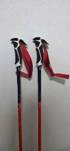 DoKlri-様 専用 Swix スキー用ポール 赤と黒 パンチガードセット