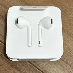 Apple純正 iPhone イヤホン Lightning端子