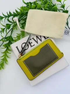 極美品✨LOEWE ロエベ フラグメントケース バイカラー 箱付き
