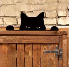 Item thumbnail for item 15dabe83-10ad-4527-b780-16ba38334f6c