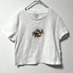 PUMA プーマ フルーツロゴ ショート丈Tシャツ 白 S 半袖 カットソーのサムネイル