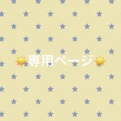 ☀️専用ページ☀️