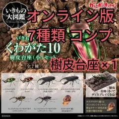 1.いきもの大図鑑 くわがた10 7種コンプ 樹皮台座 × 1