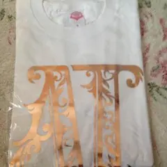 EXILE ATSUSHI Tシャツ