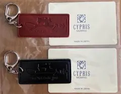 CYPRIS ２個セット　キーリング