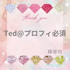 Ted@プロフィ必須様
