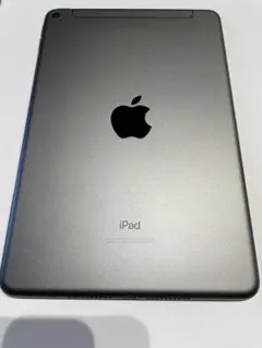 iPad mini 第5世代 セルラー　64GB iOS 18 最新