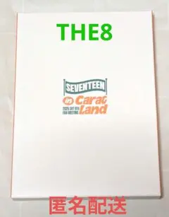 SEVENTEEN CARAT LAND 2025 アクスタ THE8 未開封