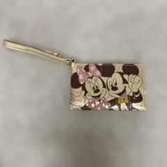 東京ディズニーリゾート パスケース ミッキー ミニー