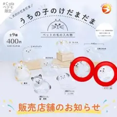 うちの子のけだまだま　犬　チワワ　2個セット