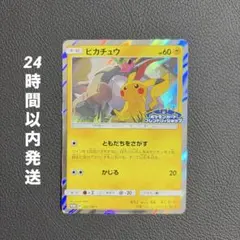2026年最新】249/SM-P ピカチュウの人気アイテム - メルカリ