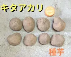 ☆カナカナ☆様 リクエスト 2点 まとめ商品