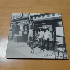 サニーデイ・サービス/さよなら!街の恋人たち