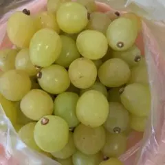 専用外します☆あーりー★必読様専用