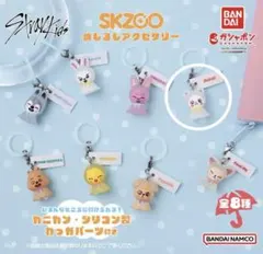 SKZOOめじるしアクセサリー