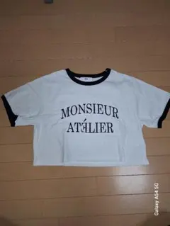 レディースクロップドTシャツ M