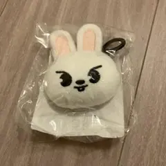 リービット アイドル