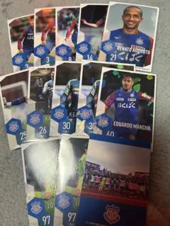 ヴァンフォーレ甲府 応援グッズ