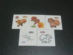 ロコン　５枚セット　ポケモン　デコキャラシール　第一パン