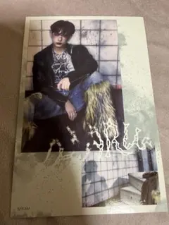 &TEAM Back to Life BREATH フォトシート HARUA