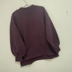 ナノユニバース 裏毛ハイネックプルオーバー.19