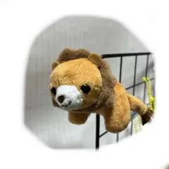 Item thumbnail for item 26707720-0e50-4415-9d54-be30f6a68a93