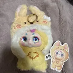 キモンミモンワイルドネスドリーム 犬