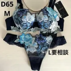 サルート♥69G 店舗限定 メキシコ D65 ソングM IV +ハンガー1本 - メルカリ