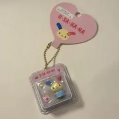 サンリオキャラクターズ ミニチュアパッケージチャーム ウサハナ