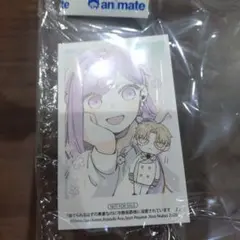 捨てられるはずの悪妻なのに冷徹侯爵様に溺愛されています 2巻　アニメイト　特典