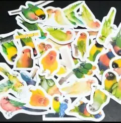 コザクラインコ　鳥　小鳥　インコ　シール　フレークシール　Bird　鳥類