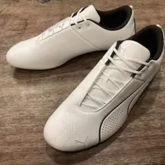 Item thumbnail for item 5caddc8c-e99b-4818-966e-886b7acebe88