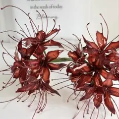 アメリカンフラワー♡赤い彼岸花（小）