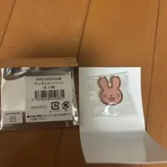 WIND BREAKER展 ランダムピンバッジ