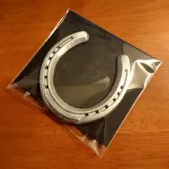 【本物の蹄鉄】馬蹄