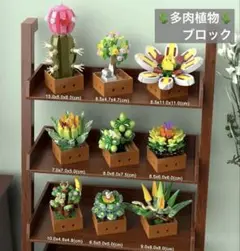 ✨新品✨サボテン 多肉植物 ブロック インテリア ボタニカル盆栽 9種