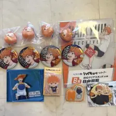 ハイキュー　日向翔陽　まとめ売り