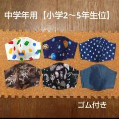 立体型マスク 男の子柄B【中学年用】６枚セット