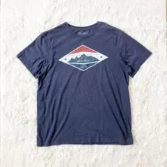 エディーバウアー Tシャツ ブランドロゴ ネイビー 青 アウトドア 山 L