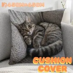 800 キジトラ猫 写真プリント クッションカバー 45×45cm 猫柄のサムネイル