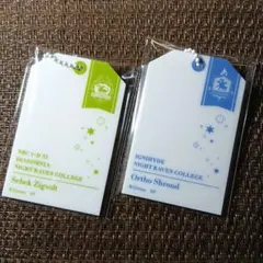 ツイステッドワンダーランド ツイステ ハングタグアクリルキーホル