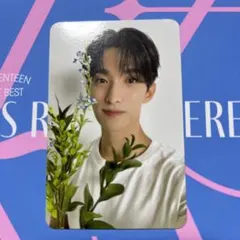 SEVENTEEN ドギョム 17 IS RIGHT HERE DEAR盤 封入