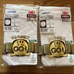 GUNZE グンゼ 天引きブリーフ 前あき 2枚セット Lサイズ