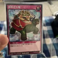 遊戯王ラッシュデュエル 強欲な大亀のサムネイル