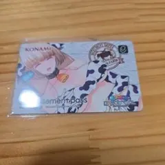 KONAMI BOMBERGIRL オレン e-amusement pass - メルカリ