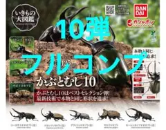 【5種フルコンプ】 かぶとむし10 いきもの大図鑑 カブトムシ10 2