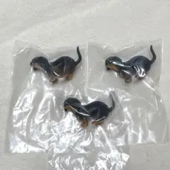 ふんばりーぬ3 ミニチュアダックス 3体 セット