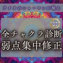 さぼてん様 リクエスト 2点 まとめ商品