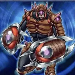 ルーベリー様　専用