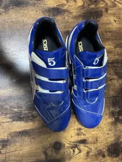 asics 野球 トレーニングシューズ ブルー